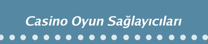 Casino Oyun Sağlayıcıları